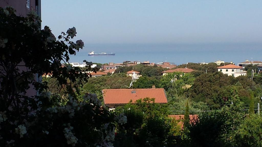 Villa Cassuto Maison De Charme Antignano  Dış mekan fotoğraf