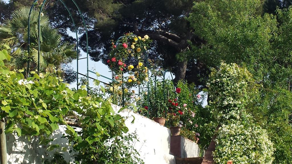 Villa Cassuto Maison De Charme Antignano  Dış mekan fotoğraf