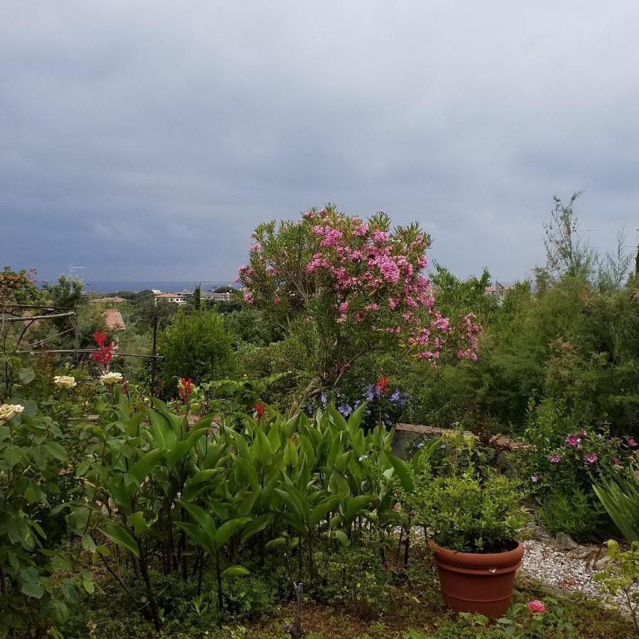 Villa Cassuto Maison De Charme Antignano  Dış mekan fotoğraf