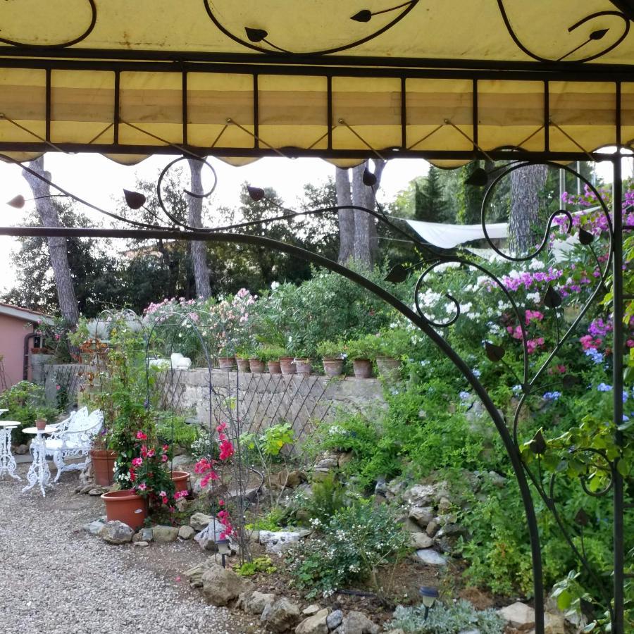 Villa Cassuto Maison De Charme Antignano  Dış mekan fotoğraf